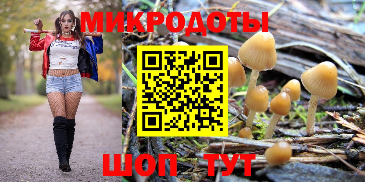 Борзя  Галлюциногенные грибы Magic Shrooms  Вход с VPN 