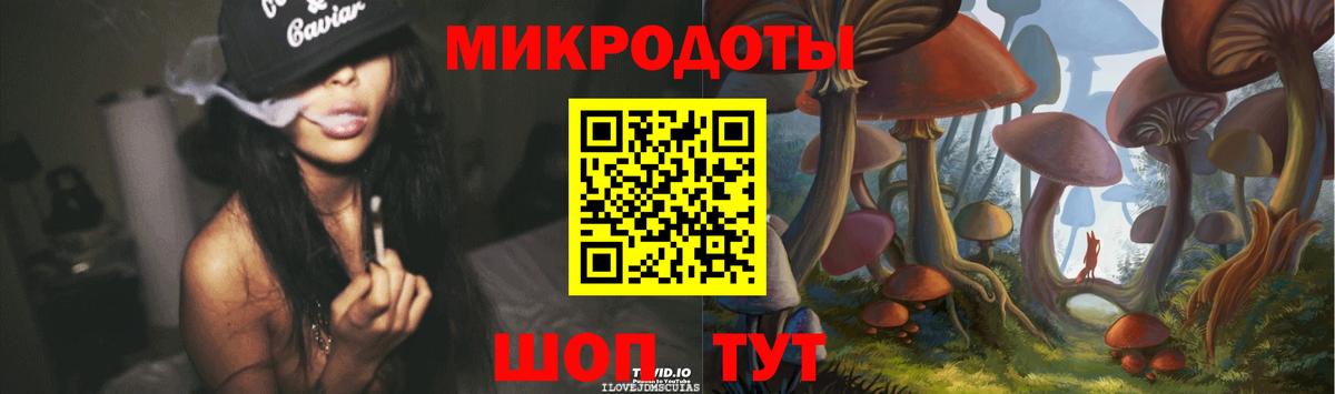Псилоцибиновые грибы Cubensis Борзя